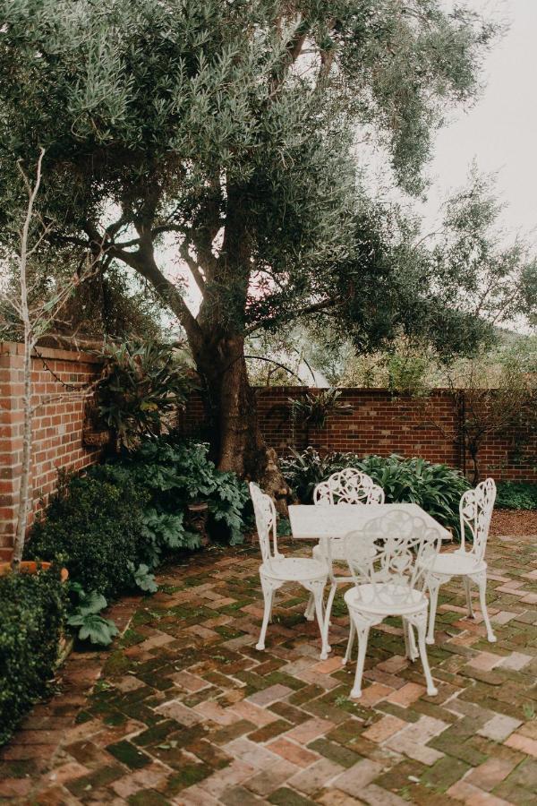 The Allotment Albany - Centrally Located Cottage In Old אולבני מראה חיצוני תמונה